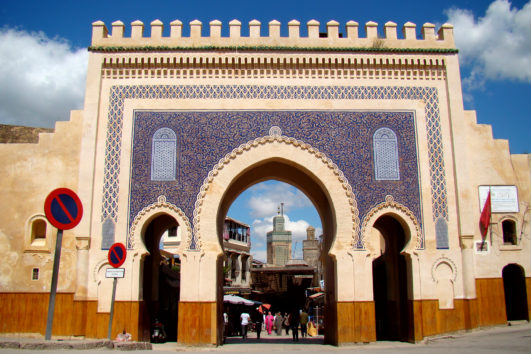 FES